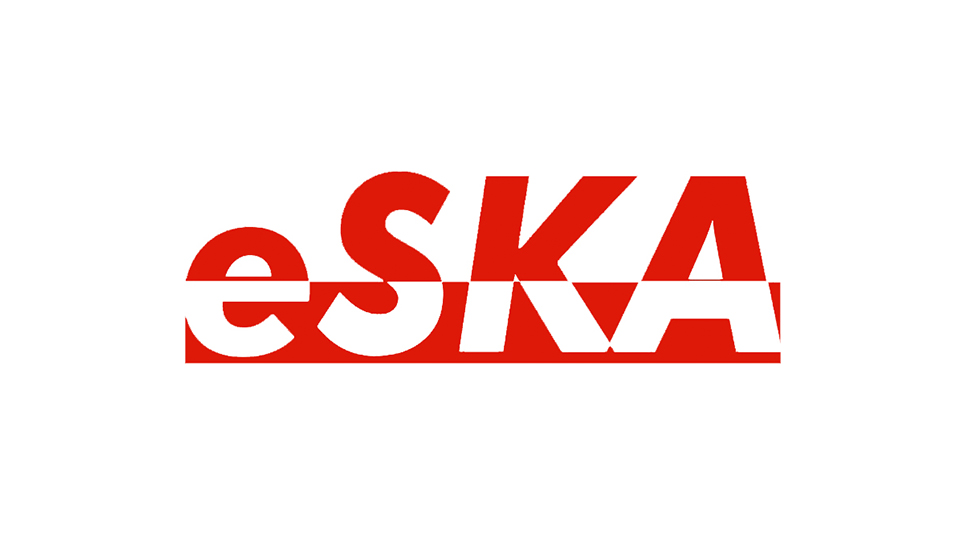 Logo 1